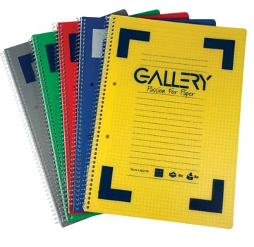 Cahier spir a4 l8 pp 80gr ass
