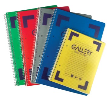 Cahier spir a5 q5 pp 80gr ass