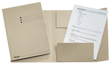 D.50 farde met kleppen folio grijs esselte