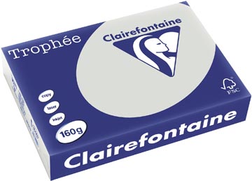 250 bl a4 160gr lichtgrijs clairefontaine - 1009