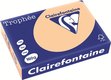 250 bl a4 160gr abrikoos clairefontaine - 1011