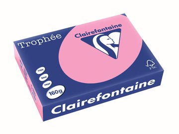 250 vel a4 160 gr felroze clairefontaine - 1013