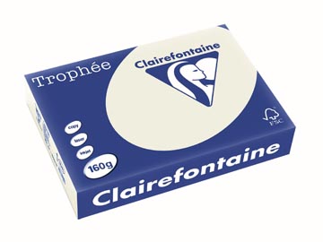 250 bl a4 160gr parelgrijs clairefontaine - 1041