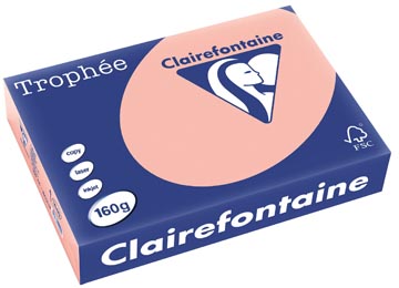 250 bl a4 160gr perzik clairefontaine - 1049