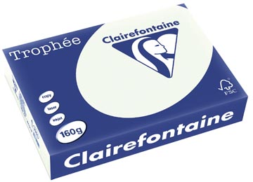 250 bl a4 160gr lichtgroen clairefontaine - 1051