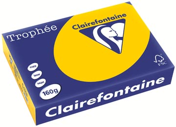 250 bl a4 160gr zonnebloemgeel clairefontaine - 1053