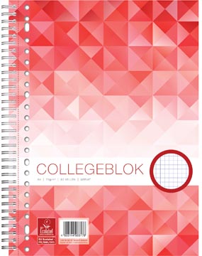 Work collegeblok a4 23gts geruit 80vel