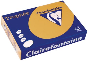 250 bl a4 160gr mokkabruin clairefontaine - 1102