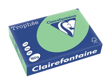 250 bl a4 160gr natuurgroen clairefontaine - 1120