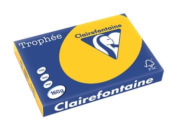 250 f a3 160gr jaune tournesol