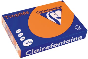 250 bl a4 120gr oranje clairefontaine - 1205
