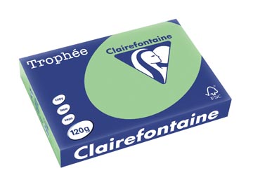 250 bl a4 120gr natuurgroen clairefontaine - 1228