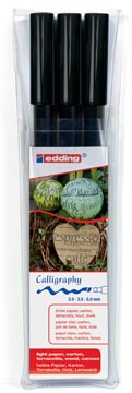 P.3 kalligrafie pen e-1255 schrijfbreedte assorti zwart edding