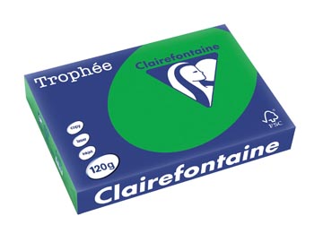 250 bl a4 120gr biljartgroen clairefontaine - 1271