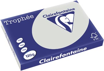 250 bl a3 120gr lichtgrijs clairefontaine - 1274
