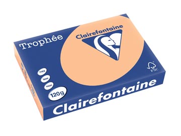 250 bl a4 120gr abrikoos clairefontaine - 1275