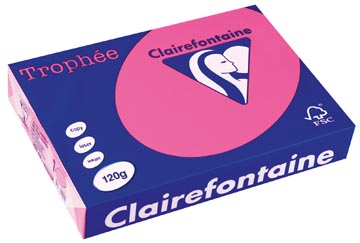 250 bl a4 120gr felroze clairefontaine - 1277