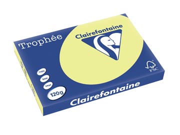 250 f a3 120gr jonquille