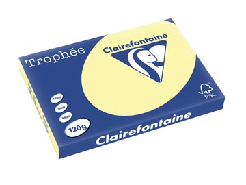 250 f a3 120gr jaune canari