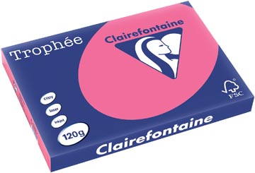 250 bl a3 120gr fuchsia clairefontaine - 1319