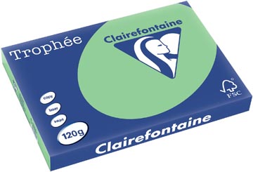 250 f a3 120gr vert clairefontaine  -  1328
