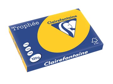 250 f a3 120gr jaune tournesol