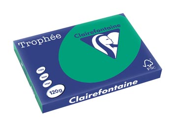 250 bl a3 120gr dennengroen clairefontaine - 1384