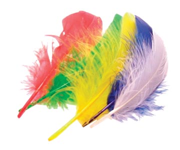 P.50 pluimen 15 cm geassorteerde kleuren bouhon