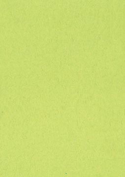 Papier à dessin coloré, 120 g, ft 21 x 29,7, A4, vert clair, paquet de 500 feuilles