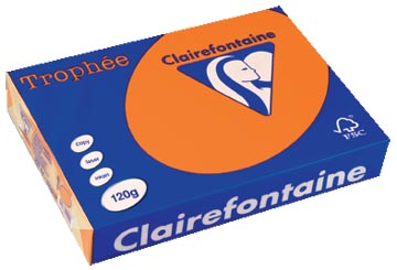250 f a4 120gr orange vif