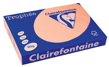 500 bl a3 80gr zalm clairefontaine - 1892