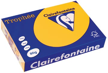 500 bl a4 80gr zonnebloemgeel clairefontaine - 1978