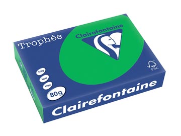500 bl a4 80gr biljartgroen clairefontaine - 1991