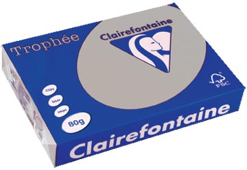 500 bl a4 80gr lichtgrijs clairefontaine - 1993