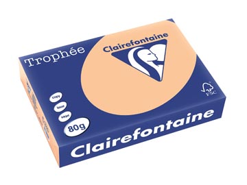 500 bl a4 80gr abrikoos clairefontaine - 1995