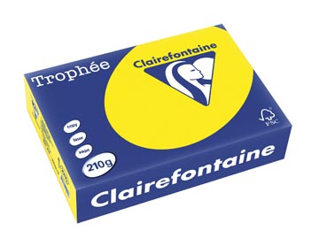 250 f a4 210gr jaune soleil