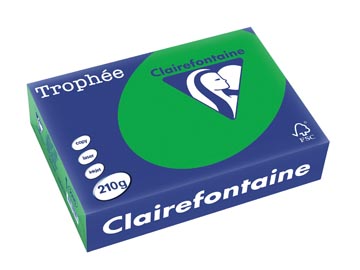 250 f a4 210gr vert billard clairefontaine - 2215