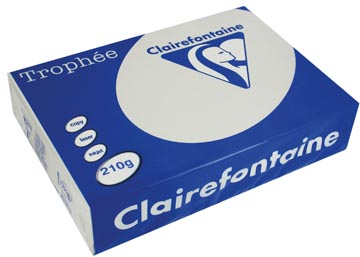 250 f a4 210gr gris claire clairefontaine - 2226