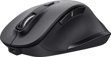 Trust Fyda Confort souris sans fil Eco, noir