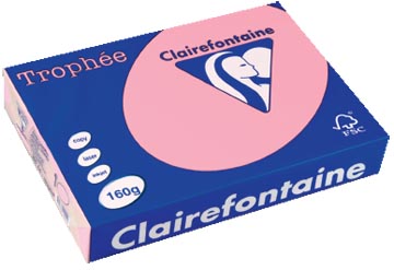 250 bl a4 160gr roze clairefontaine - 2634