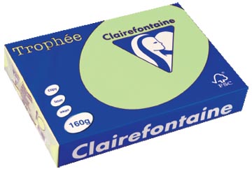 250 bl a4 160gr groen clairefontaine - 2635