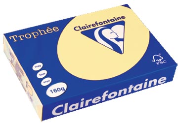 250 bl a4 160gr geel clairefontaine - 2636