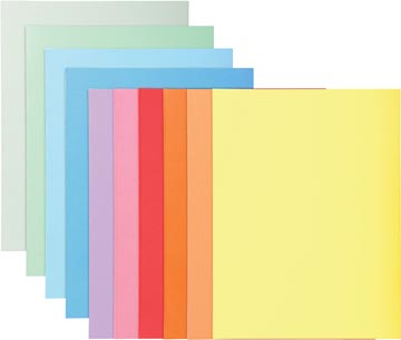 P.100 dossiermappen super 160gr a4 assorti exacompta