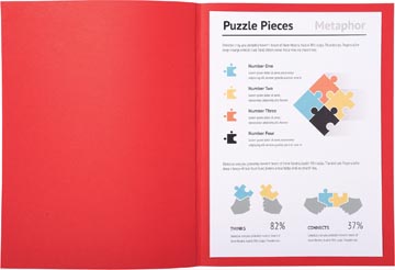 P.100 dossiermappen super 160gr a4 rood exacompta