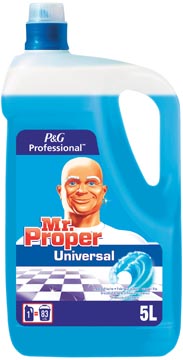 B.5l detergent ocean mr.proper