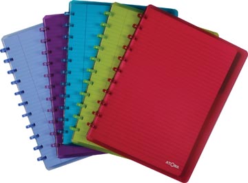 Schrift pp incl tabbladen gelijnd 60 vel 90gr a4+ assorti atoma 