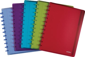 Schrift pp geruit q5 60 vel 90gr a4+ met 6 tabbladen + 5 showtassen atoma