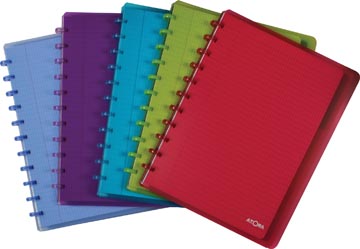 Schrift pp incl tabbladen commercieel geruit 60 vel 90gr a4+ transparant assorti atoma