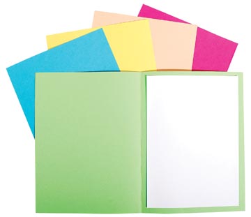 P.100 dossiermap forever 170gr assorti exacompta