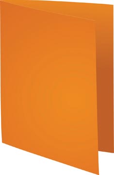 P.100 dossiermap forever 170gr a4 oranje exacompta